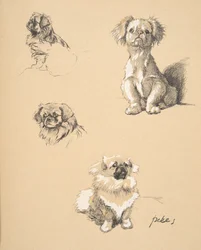 Pekes, 1930, Illustrations from his Sketch Book used for 